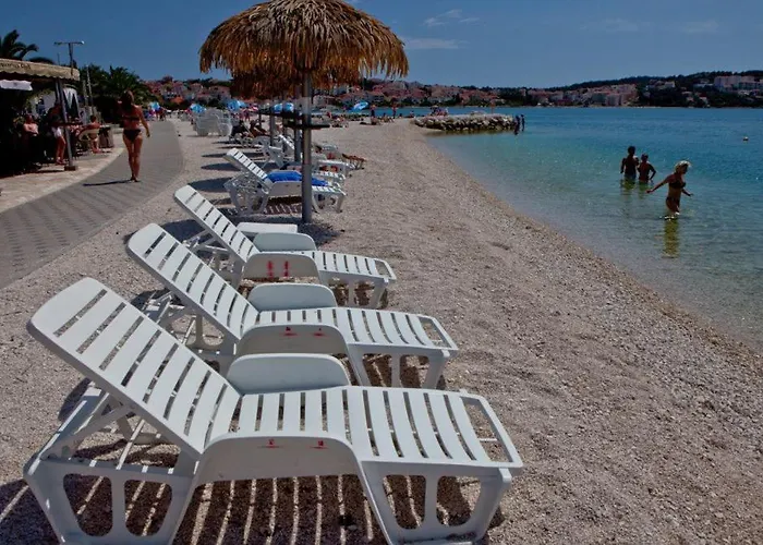 Simac * 트로기르